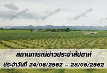 สถานการณ์ข่าว ประจำสัปดาห์วันที่ 24-28 มิถุนายน 2562