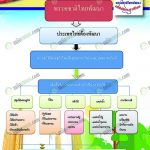 แผนผังพรรคชาติไทยพัฒนา