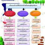 แผนผังพรรคเพื่อไทย