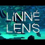 3.LINNE LENS