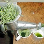 3.เครื่องคั้นน้ำจากต้นอ่อนข้าวสาลีแบบไม่ใช้ใบมีดความเร็วสูง