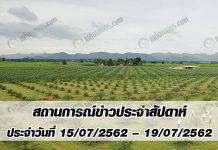 สถานการณ์ข่าว ประจำสัปดาห์ ประจำวันที่ 15-19 กรกฎาคม 2562