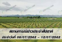 สถานการณ์ข่าว ประจำสัปดาห์ ประจำวันที่ 8-12 กรกฎาคม 2562