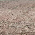 4.การเตรียมดินสำหรับปลูกข้าวโพด