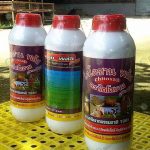 4.ไคโตซาน