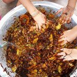 ปุ๋ยหมักชีวภาพที่สามารถทำเองได้