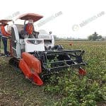 เครื่องกำลังเก็บเกี่ยวผลผลิต