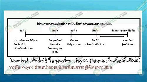 2.โปรแกรมการเหนี่ยวนำการเป็นสัดเพื่อกำหนดช่วงผสมเทียม