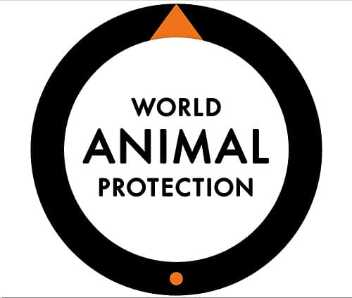 3.World Animal Protection
