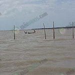 4.บ่อกลางทะเลสำหรับการเลี้ยงหอยแครง