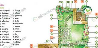 แปลนการออกแบบ การจัดสวน ที่ถูกหลัก