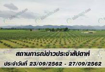 สถานการณ์ข่าว ประจำสัปดาห์ ประจำวันที่ 23-27 กันยายน 2562