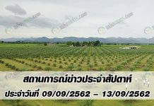 สถานการณ์ข่าว ประจำสัปดาห์ ประจำวันที่ 9-13 กันยายน 2562