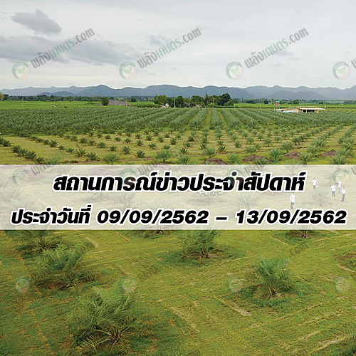 สถานการณ์ข่าว ประจำสัปดาห์ ประจำวันที่ 9-13 กันยายน 2562 สถานการณ์ข่าว ประจำสัปดาห์ ประจำวันที่ 9-13 กันยายน 2562