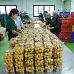 5.อินทผลัมพร้อมส่งลูกค้า