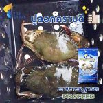 7.ปูลอกคราบดี