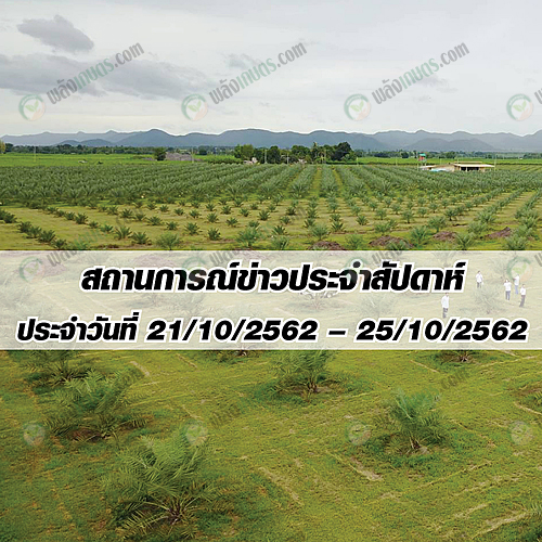 สถานการณ์ข่าว ประจำสัปดาห์ ประจำวันที่ 21-25 ตุลาคม 2562 สถานการณ์ข่าว ประจำสัปดาห์ ประจำวันที่ 21-25 ตุลาคม 2562