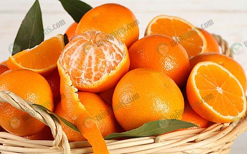 ส้ม ช่วยในการต่อต้านอนุมูลอิสระในร่างกายได้เป็นอย่างดี