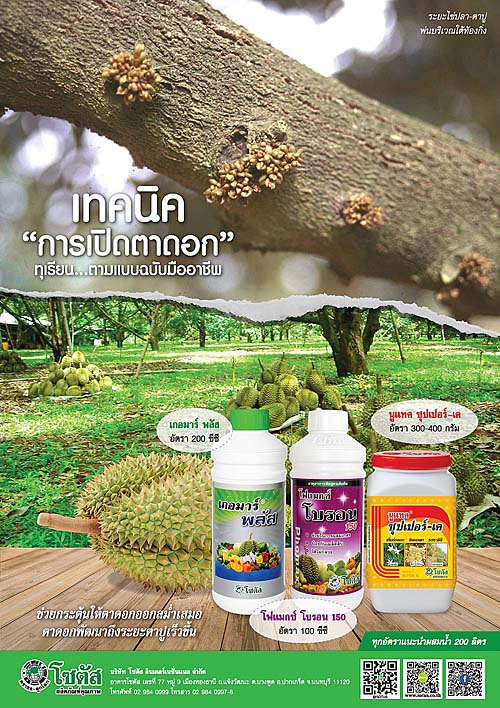 Advertisement Banner by บริษัท โซตัส อินเตอร์เนชั่นแนล จำกัด www.sotus.co.th