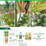 Advertisement Banner by บริษัท โซตัส อินเตอร์เนชั่นแนล จำกัด www.sotus.co.th