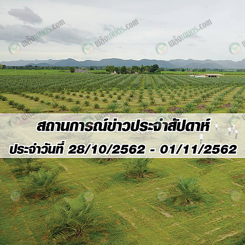 สถานการณ์ข่าวประจำสัปดาห์ ประจำวันที่ 28 ตุลาคม-1 พฤศจิกายน 2562