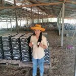 1.คุณทิพย์วรรณ ปัดลาด เกษตรกรผู้เลี้ยงเป็ดไข่