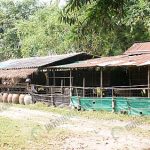 5.โรงเรือนแพะ