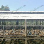 8.พื้นที่อยู่ของเป็ดต้องไม่เฉอะแฉะ อากาศต้องถ่ายเทสะดวก