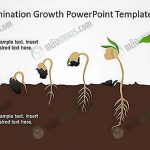 การงอกของเมล็ด พันธุ์ตั้งแต่เริ่มต้นจนถึงปลายทาง