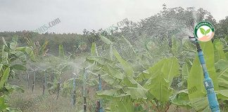 การวางระบบน้ำในสวน แปลงผักและผลไม้