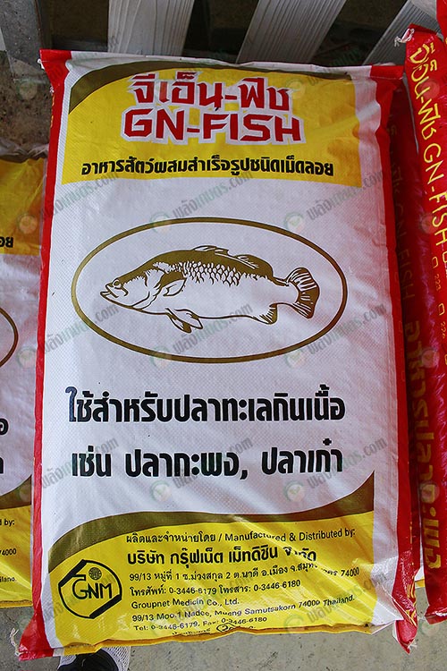 5.อาหารปลากะพง จีเอ็น-ฟิช