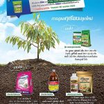 Advertisement-Banner-by-บริษัท-โซตัส-อินเตอร์เนชั่นแนล-จำกัด-www.sotus.co.th