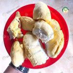 สายพันธุ์ทุเรียน ใหม่ ไซส์ยักษ์ มหึมา, สายน้ำผึ้ง และ ฟองทอง ตอบโจทย์ผู้บริโภค