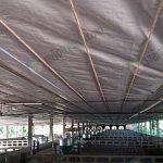 4.แอร์โร่ฟอยล์ช่วยลดความอับชื้นของโรงเรือนได้ดี
