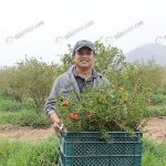 2.คุณอนุรักษ์ บุญลือ เจ้าของ ๑๐๐๐ พฤกษา ฟาร์ม