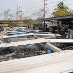 บ่อใน ฟาร์มอนุบาลลูกกุ้ง กุ้งขาว เน้นความสะอาด ปลอดโรค