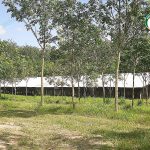 6.บรรยากาศด้านหน้าโรงเรือนเป็ด