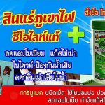 7.ผลิตภัณฑ์ สินแร่ภูเขาไฟ+ซีโอไลท์แท้