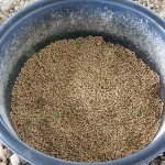 5.อาหารสำหรับเป็ด