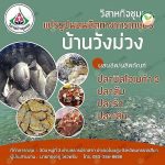 6.ผลิตภัณฑ์แปรรูปจากปลานิล