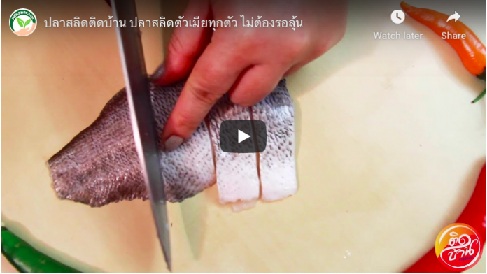 ปลาสลิดติดบ้าน ปลาสลิดติดบ้าน