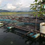 2.บ่อเลี้ยงปลาทับทิม