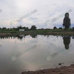 2.บ่อเลี้ยงปลานิล