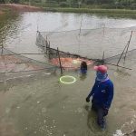 3.บ่ออนุบาลลูกปลาทับทิม