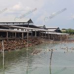 5.พื้นที่สำหรับให้เป็ดลงเล่นน้ำ