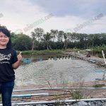 6.คุณหนิง และบ่อเลี้ยงกุ้งในฟาร์ม ซาน ซาน ฟาร์ม