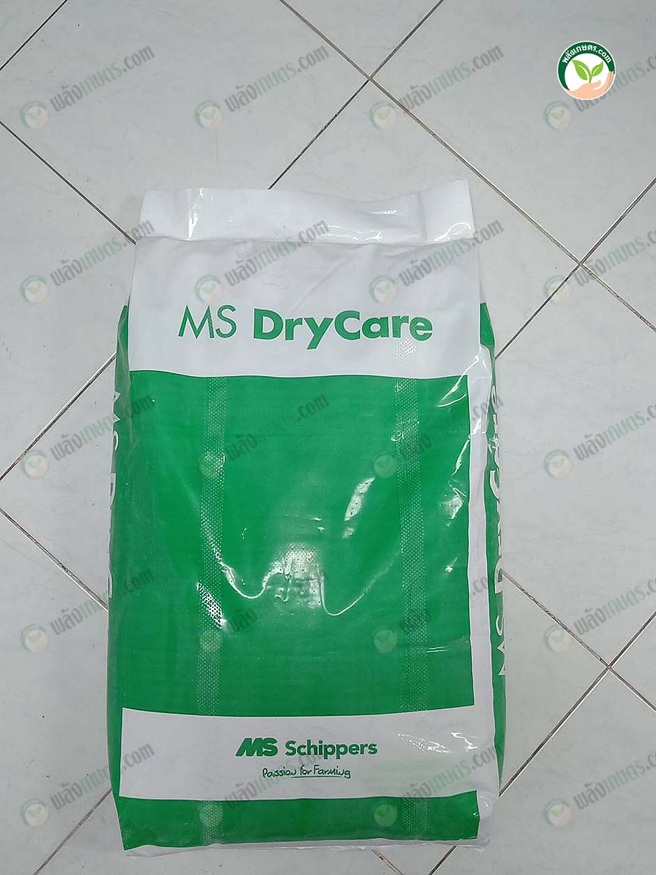 6.ผงอนามัยดูดความชื้น DryCare (รุ่นธรรมดา)