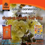1.ปุ๋ยพาริช ไบโอ และปุ๋ยพาริช ต้นไม้ ช่วยทำให้ทุเรียนออกดอกเยอะขึ้น