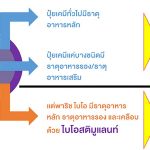 3.ประโยชน์ของปุ๋ยพาริช ไบโอ