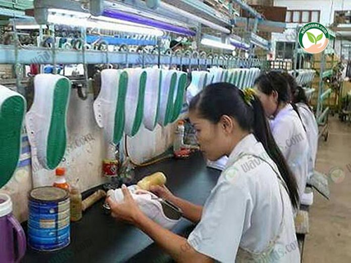 ขั้นตอนการผลิตรองเท้า พื้นยางที่ทำมาจาก ยางแผ่นรมควัน ขั้นตอนการผลิตรองเท้า พื้นยางที่ทำมาจาก ยางแผ่นรมควัน